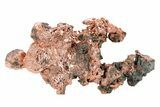 Natural, Native Copper Formation - Michigan #305885-1